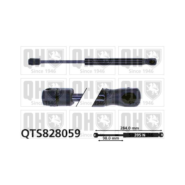 Dujinė spyruoklė, bagažinė QUINTON HAZELL QTS828059