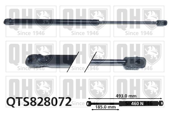 Dujinė spyruoklė, bagažinė QUINTON HAZELL QTS828072