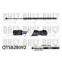 Dujinė spyruoklė, bagažinė QUINTON HAZELL QTS828092