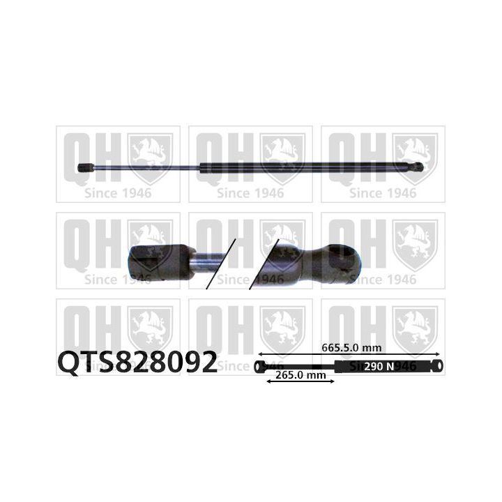 Dujinė spyruoklė, bagažinė QUINTON HAZELL QTS828092