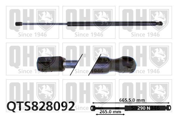 Dujinė spyruoklė, bagažinė QUINTON HAZELL QTS828092