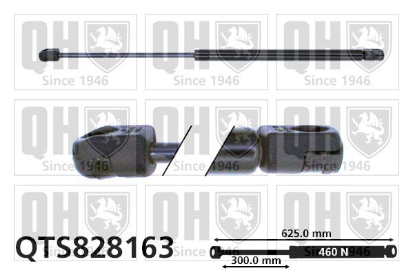 Dujinė spyruoklė, bagažinė QUINTON HAZELL QTS828163