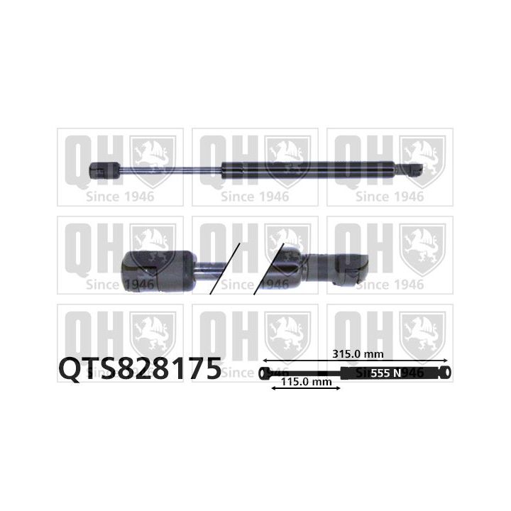 Dujinė spyruoklė, bagažinė QUINTON HAZELL QTS828175