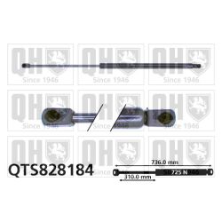 Dujinė spyruoklė, bagažinė QUINTON HAZELL QTS828184