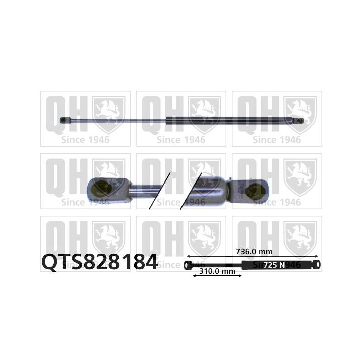 Dujinė spyruoklė, bagažinė QUINTON HAZELL QTS828184