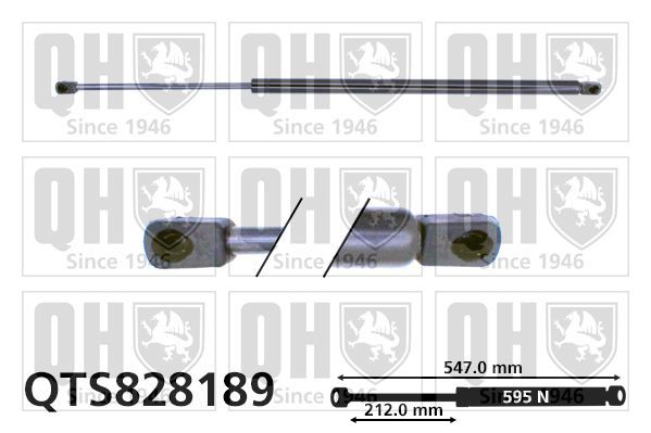 Dujinė spyruoklė, bagažinė QUINTON HAZELL QTS828189