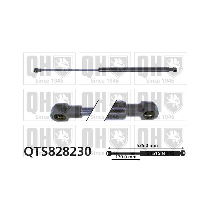 Dujinė spyruoklė, bagažinė QUINTON HAZELL QTS828230