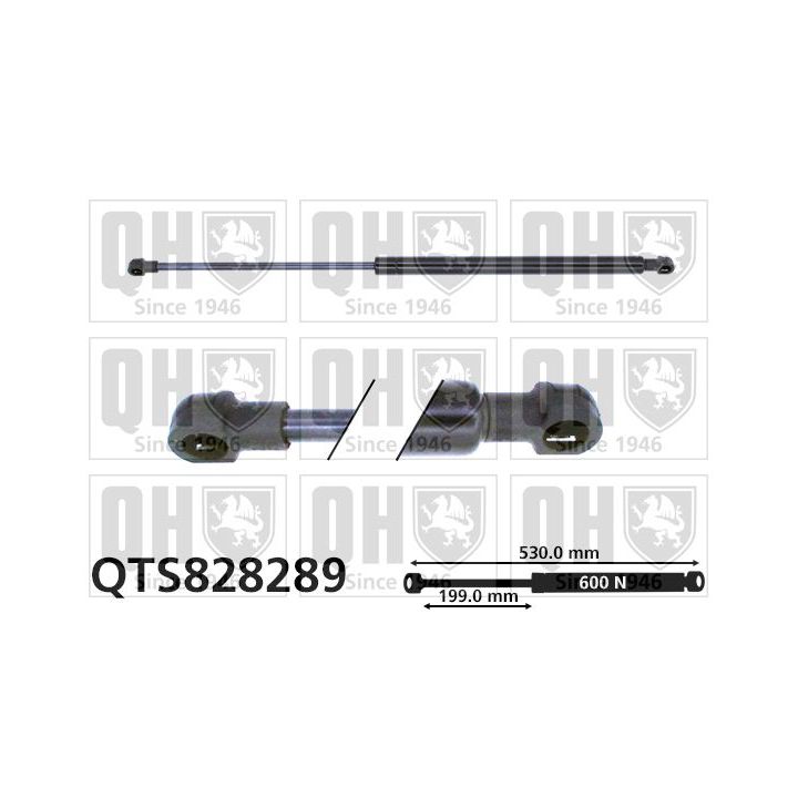 Dujinė spyruoklė, bagažinė QUINTON HAZELL QTS828289