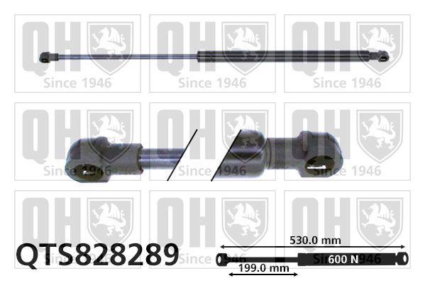 Dujinė spyruoklė, bagažinė QUINTON HAZELL QTS828289