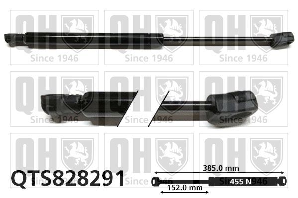 Dujinė spyruoklė, bagažinė QUINTON HAZELL QTS828291