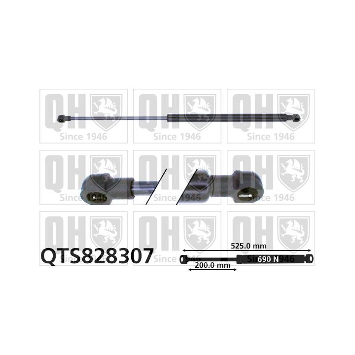 Dujinė spyruoklė, bagažinė QUINTON HAZELL QTS828307