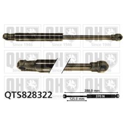 Dujinė spyruoklė, bagažinė QUINTON HAZELL QTS828322