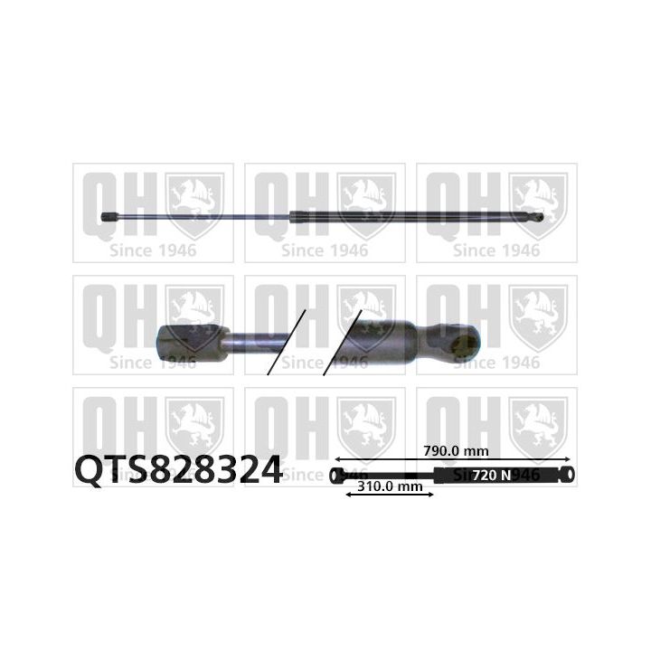 Dujinė spyruoklė, bagažinė QUINTON HAZELL QTS828324