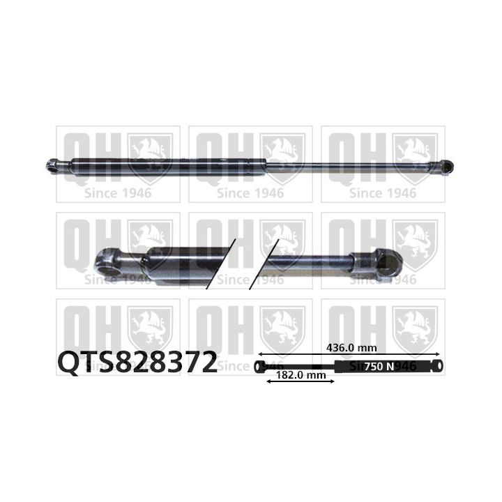 Dujinė spyruoklė, bagažinė QUINTON HAZELL QTS828372