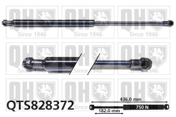 Dujinė spyruoklė, bagažinė QUINTON HAZELL QTS828372