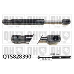 Dujinė spyruoklė, bagažinė QUINTON HAZELL QTS828390