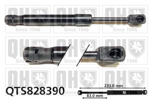 Dujinė spyruoklė, bagažinė QUINTON HAZELL QTS828390