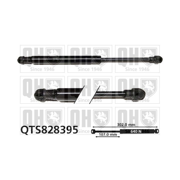 Dujinė spyruoklė, bagažinė QUINTON HAZELL QTS828395