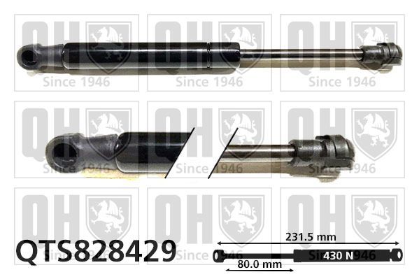 Dujinė spyruoklė, bagažinė QUINTON HAZELL QTS828429