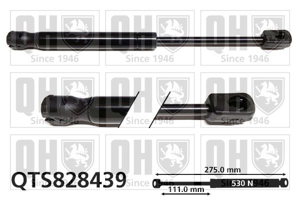 Dujinė spyruoklė, bagažinė QUINTON HAZELL QTS828439