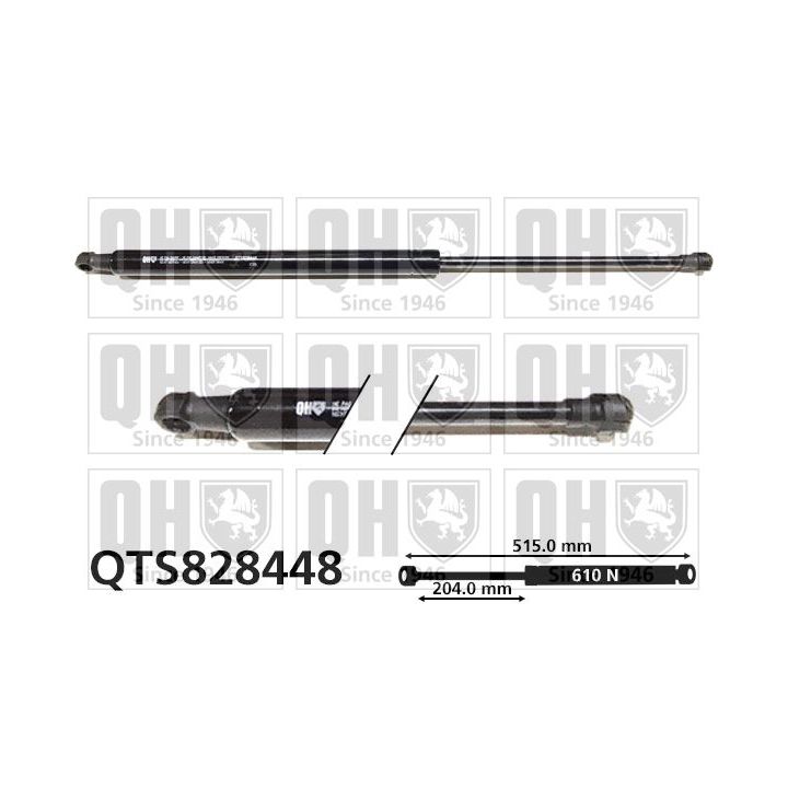 Dujinė spyruoklė, bagažinė QUINTON HAZELL QTS828448