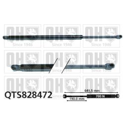 Dujinė spyruoklė, bagažinė QUINTON HAZELL QTS828472