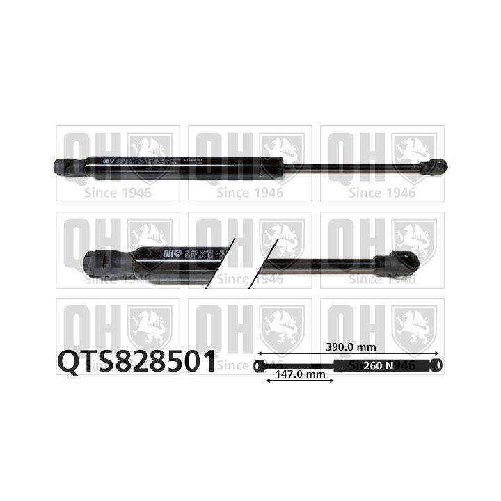 Dujinė spyruoklė, bagažinė QUINTON HAZELL QTS828501