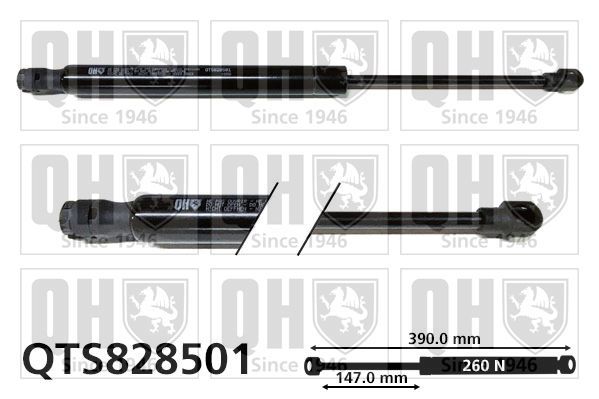 Dujinė spyruoklė, bagažinė QUINTON HAZELL QTS828501