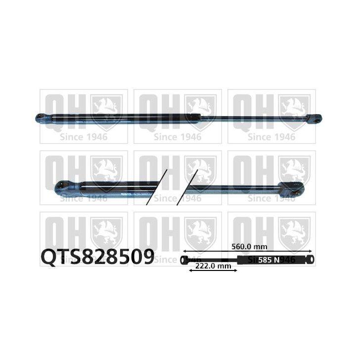 Dujinė spyruoklė, bagažinė QUINTON HAZELL QTS828509