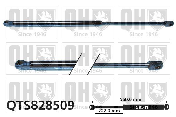 Dujinė spyruoklė, bagažinė QUINTON HAZELL QTS828509
