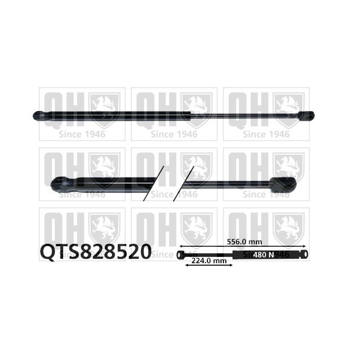 Dujinė spyruoklė, bagažinė QUINTON HAZELL QTS828520