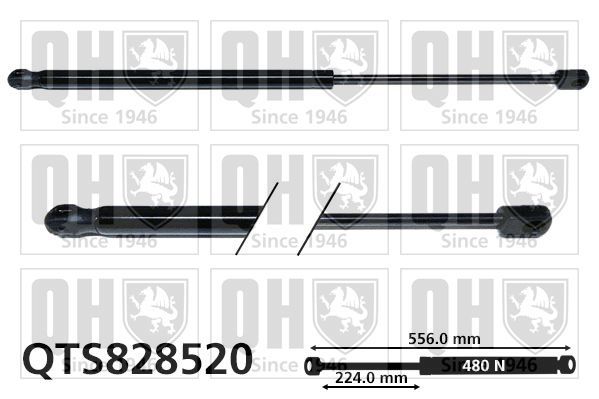Dujinė spyruoklė, bagažinė QUINTON HAZELL QTS828520
