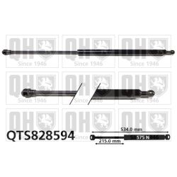 Dujinė spyruoklė, bagažinė QUINTON HAZELL QTS828594