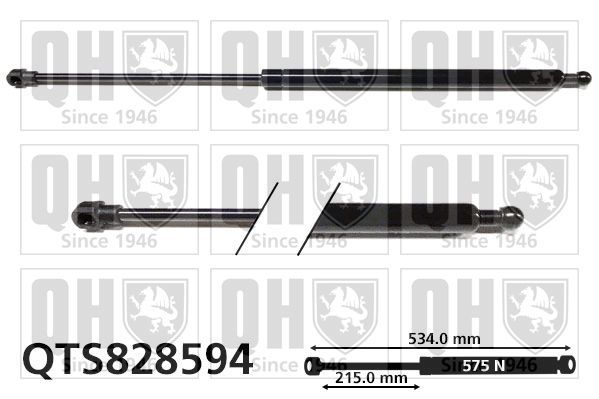 Dujinė spyruoklė, bagažinė QUINTON HAZELL QTS828594