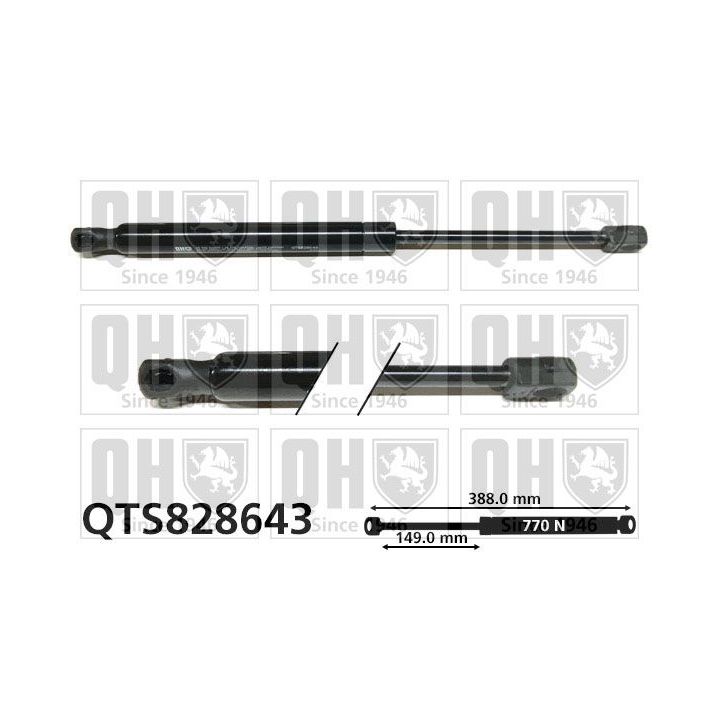 Dujinė spyruoklė, bagažinė QUINTON HAZELL QTS828643