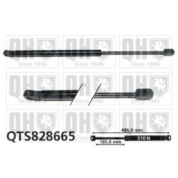 Dujinė spyruoklė, bagažinė QUINTON HAZELL QTS828665