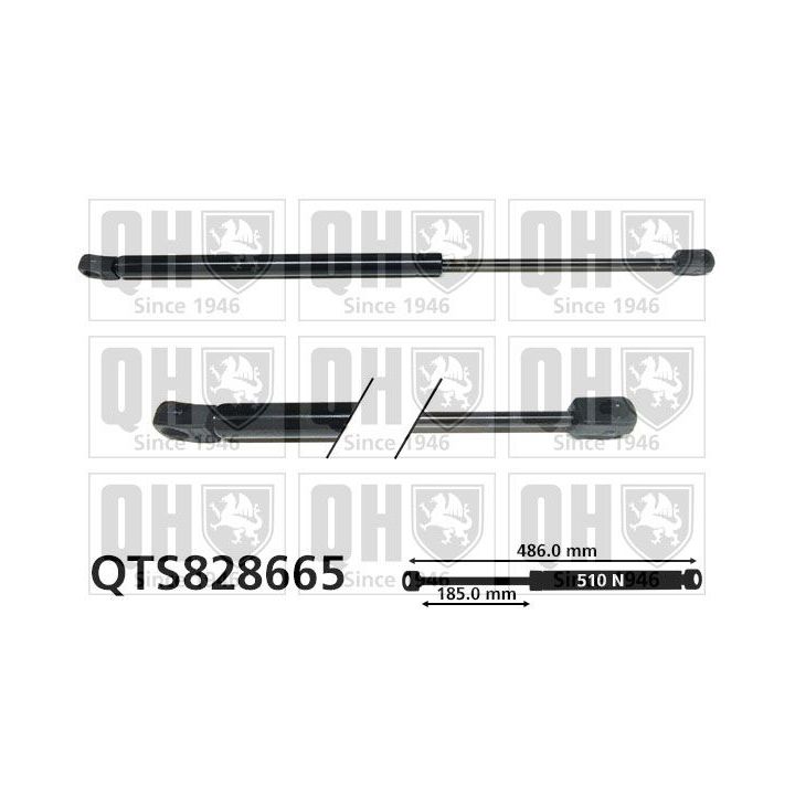 Dujinė spyruoklė, bagažinė QUINTON HAZELL QTS828665