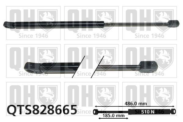 Dujinė spyruoklė, bagažinė QUINTON HAZELL QTS828665