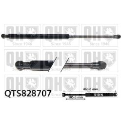 Dujinė spyruoklė, bagažinė QUINTON HAZELL QTS828707