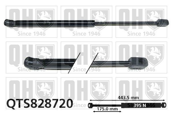 Dujinė spyruoklė, bagažinė QUINTON HAZELL QTS828720