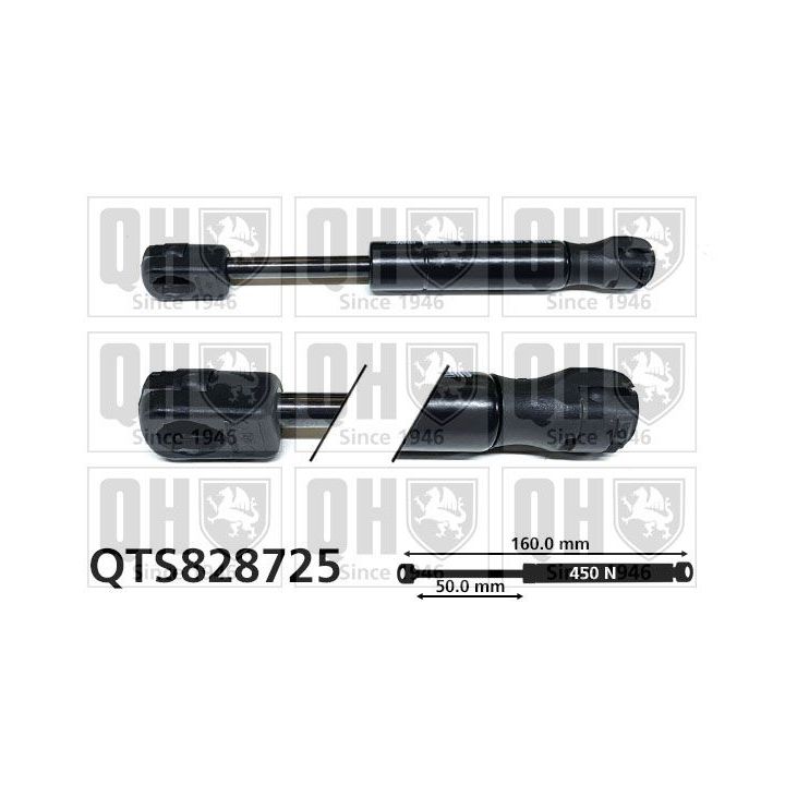 Dujinė spyruoklė, bagažinė QUINTON HAZELL QTS828725