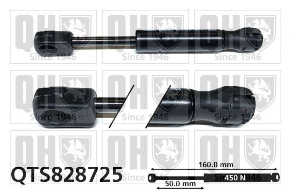 Dujinė spyruoklė, bagažinė QUINTON HAZELL QTS828725