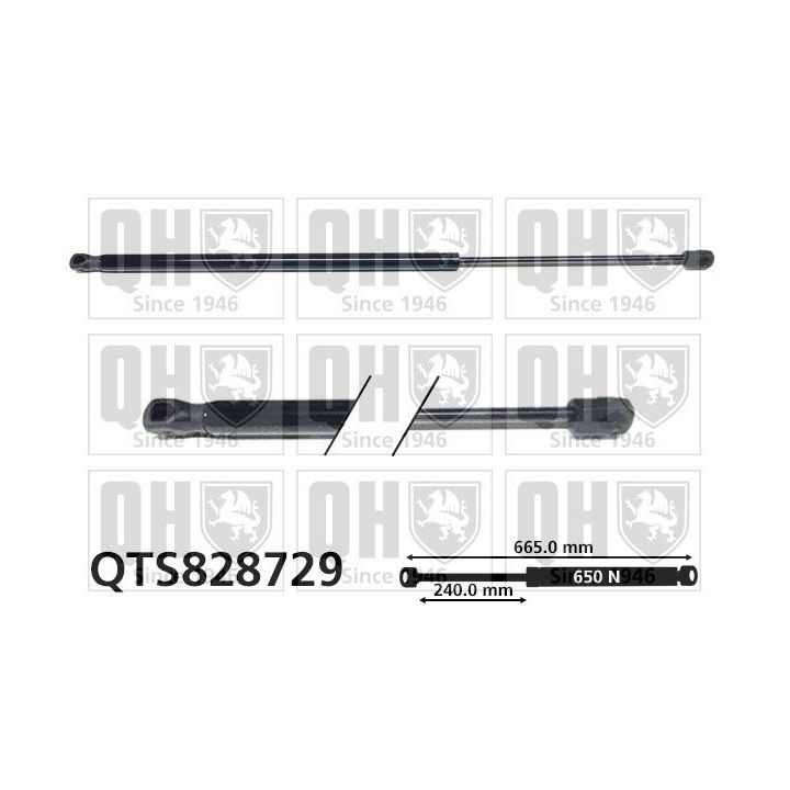 Dujinė spyruoklė, bagažinė QUINTON HAZELL QTS828729