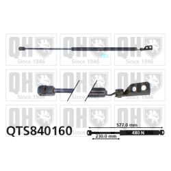 Dujinė spyruoklė, bagažinė QUINTON HAZELL QTS840160