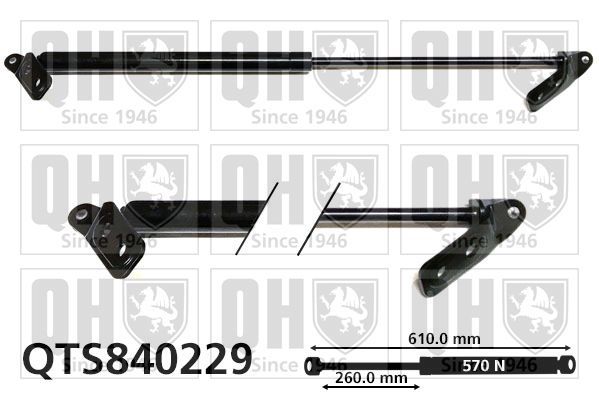 Dujinė spyruoklė, bagažinė QUINTON HAZELL QTS840229