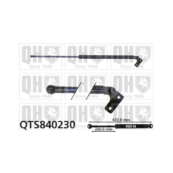 Dujinė spyruoklė, bagažinė QUINTON HAZELL QTS840230