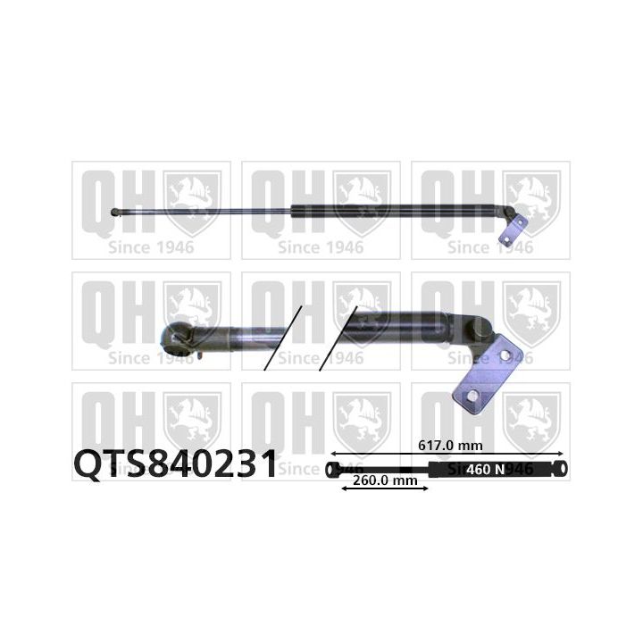 Dujinė spyruoklė, bagažinė QUINTON HAZELL QTS840231