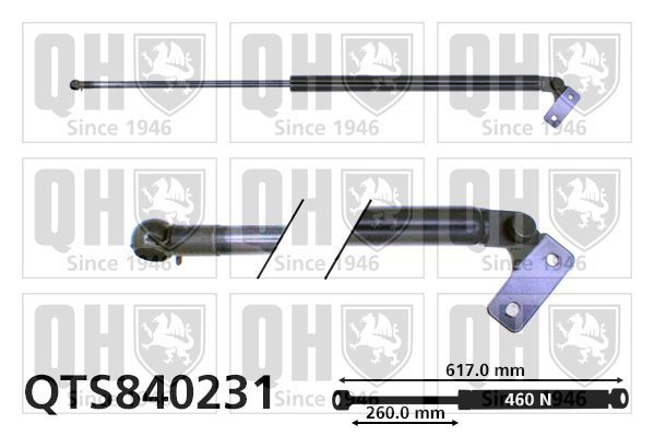 Dujinė spyruoklė, bagažinė QUINTON HAZELL QTS840231