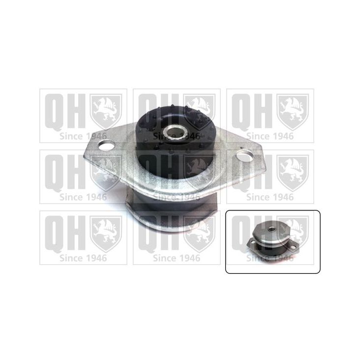 Variklio montavimas QUINTON HAZELL EM2095