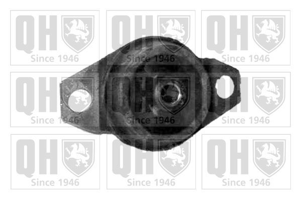 Variklio montavimas QUINTON HAZELL EM2097